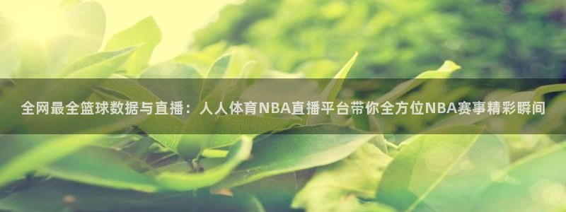 全网最全篮球数据与直播：人人体育NBA直播平台带你全方位NBA赛事精彩瞬间